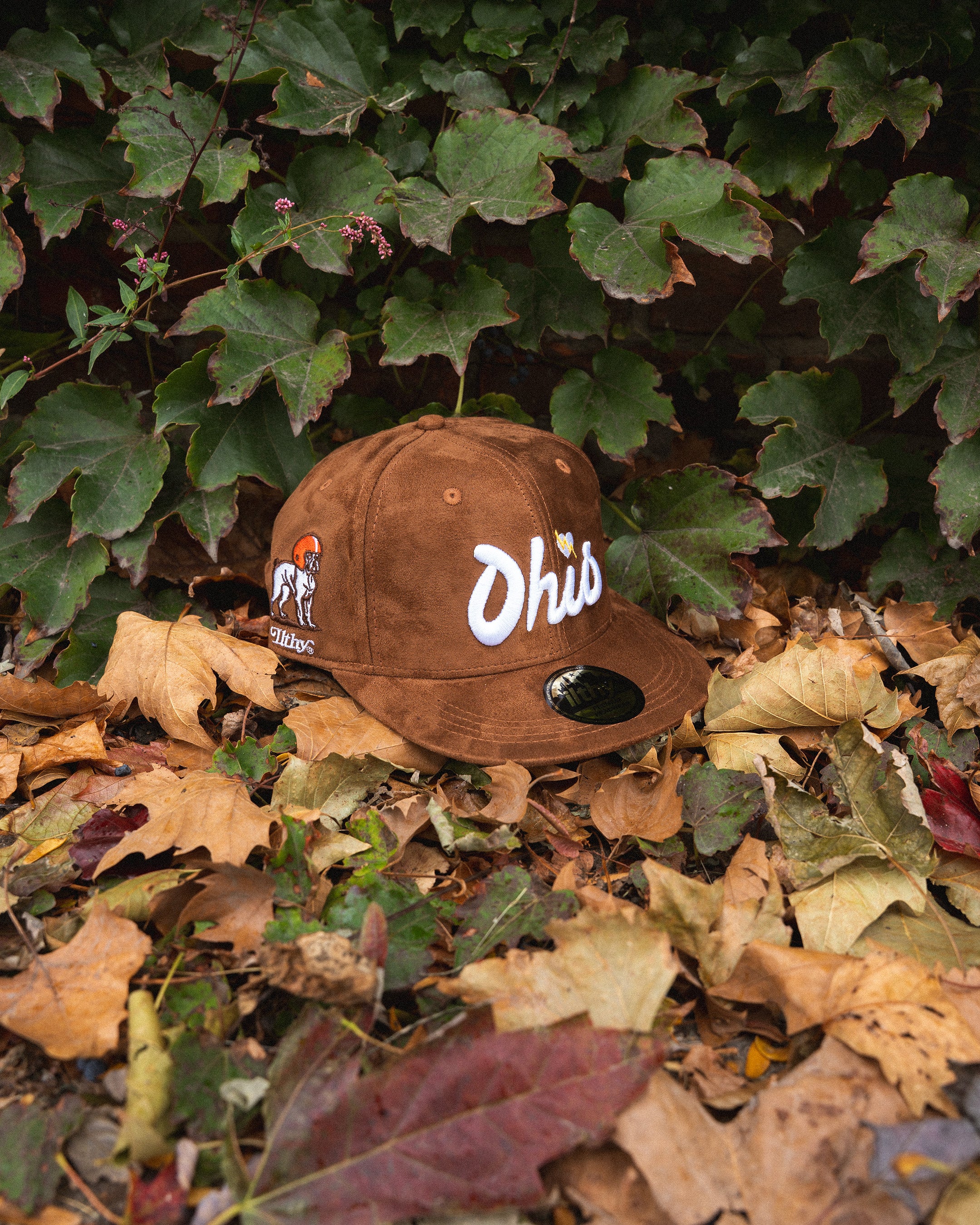 ILTHY® Ohio Script Suede Cap (Brown)