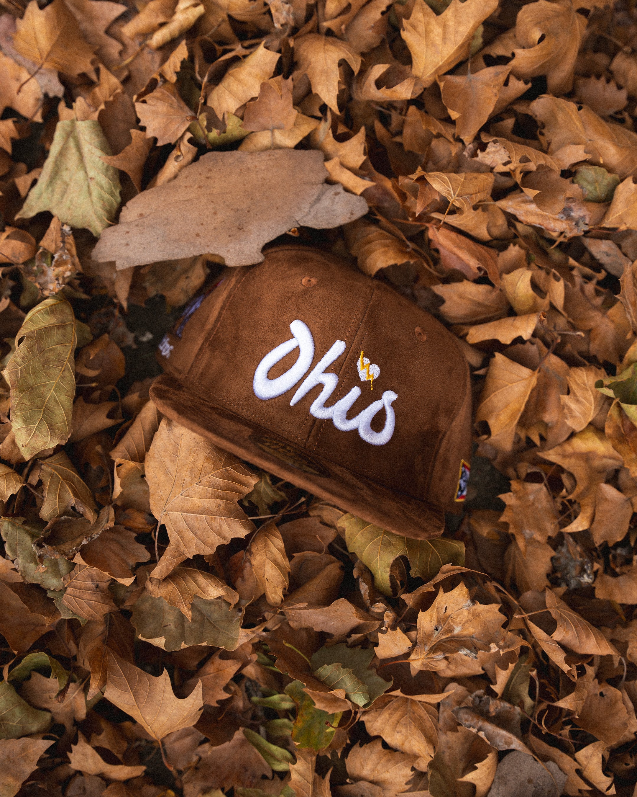 ILTHY® Ohio Script Suede Cap (Brown)