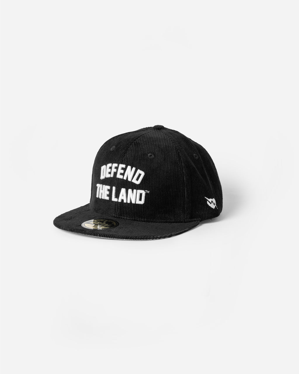 Defend the Land™ Black Cap (with free pin set)