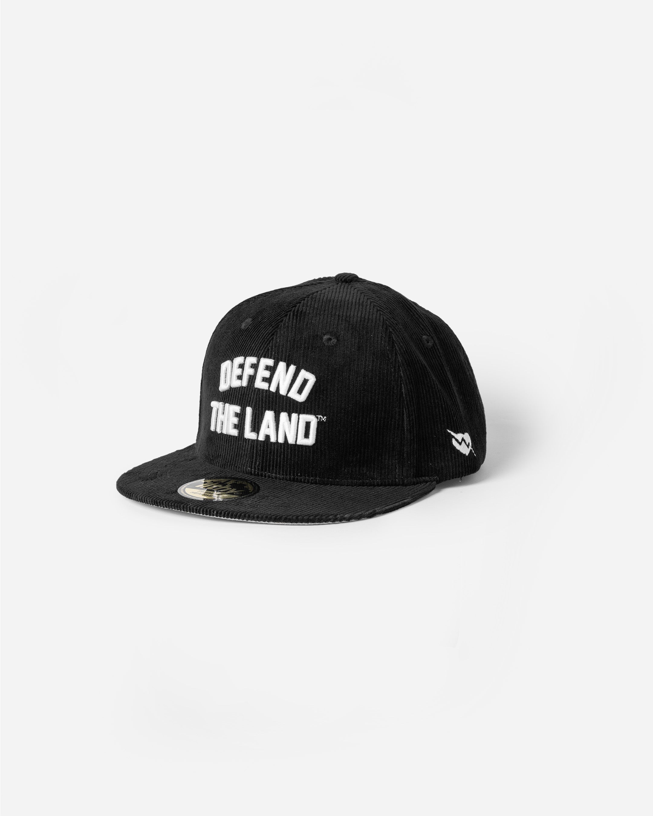Defend the Land™ Black Cap (with free pin set)