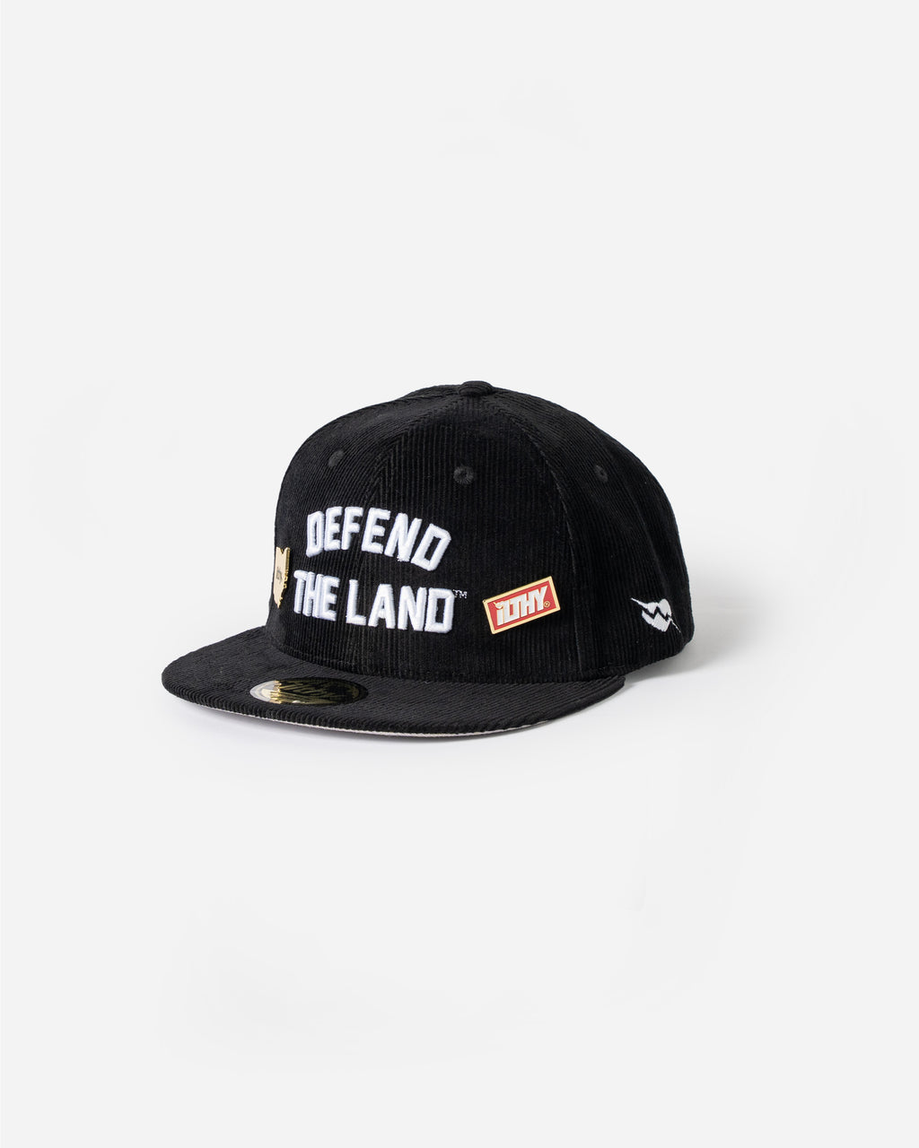 Defend the Land™ Black Cap (with free pin set)