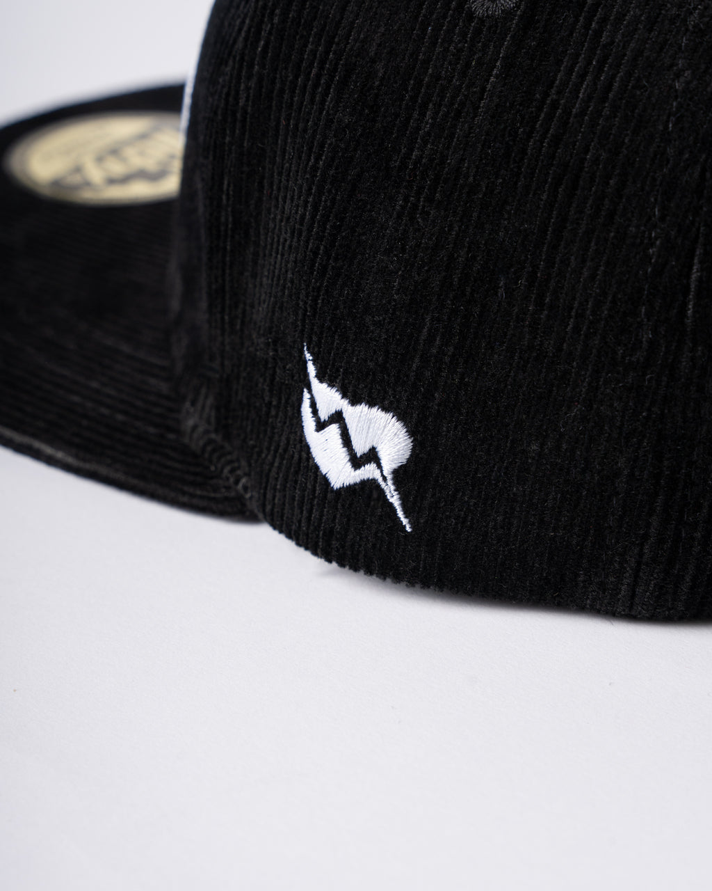 Defend the Land™ Black Cap (with free pin set)