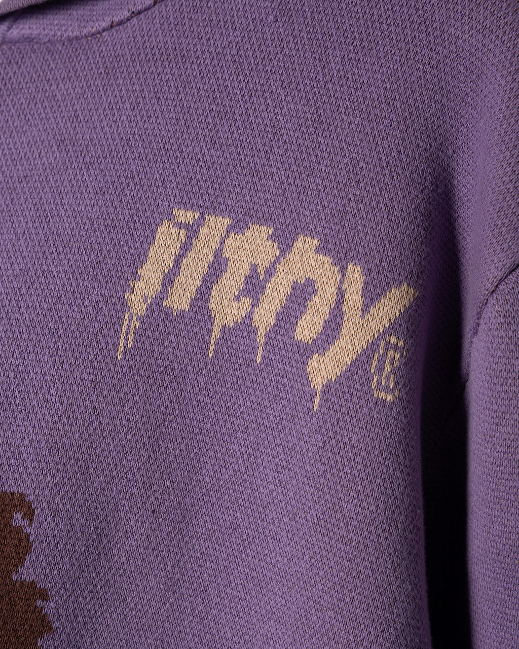 Prince Knit Sweater Hoodie