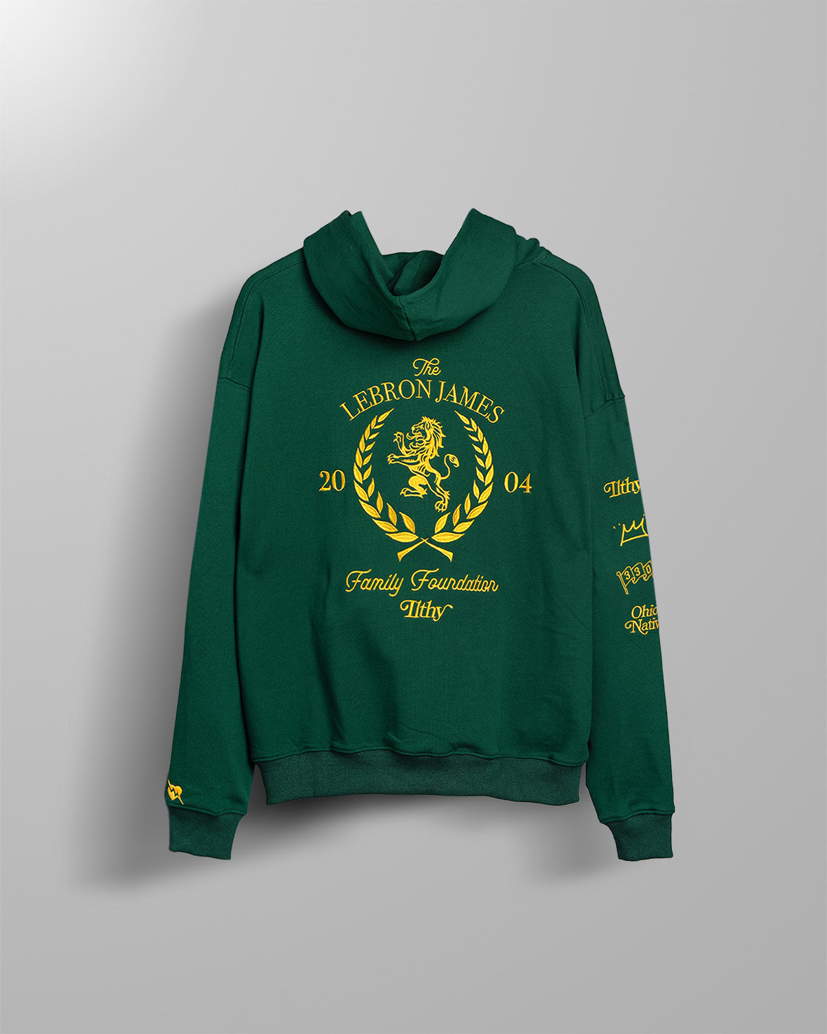 lebron we are family hoodie