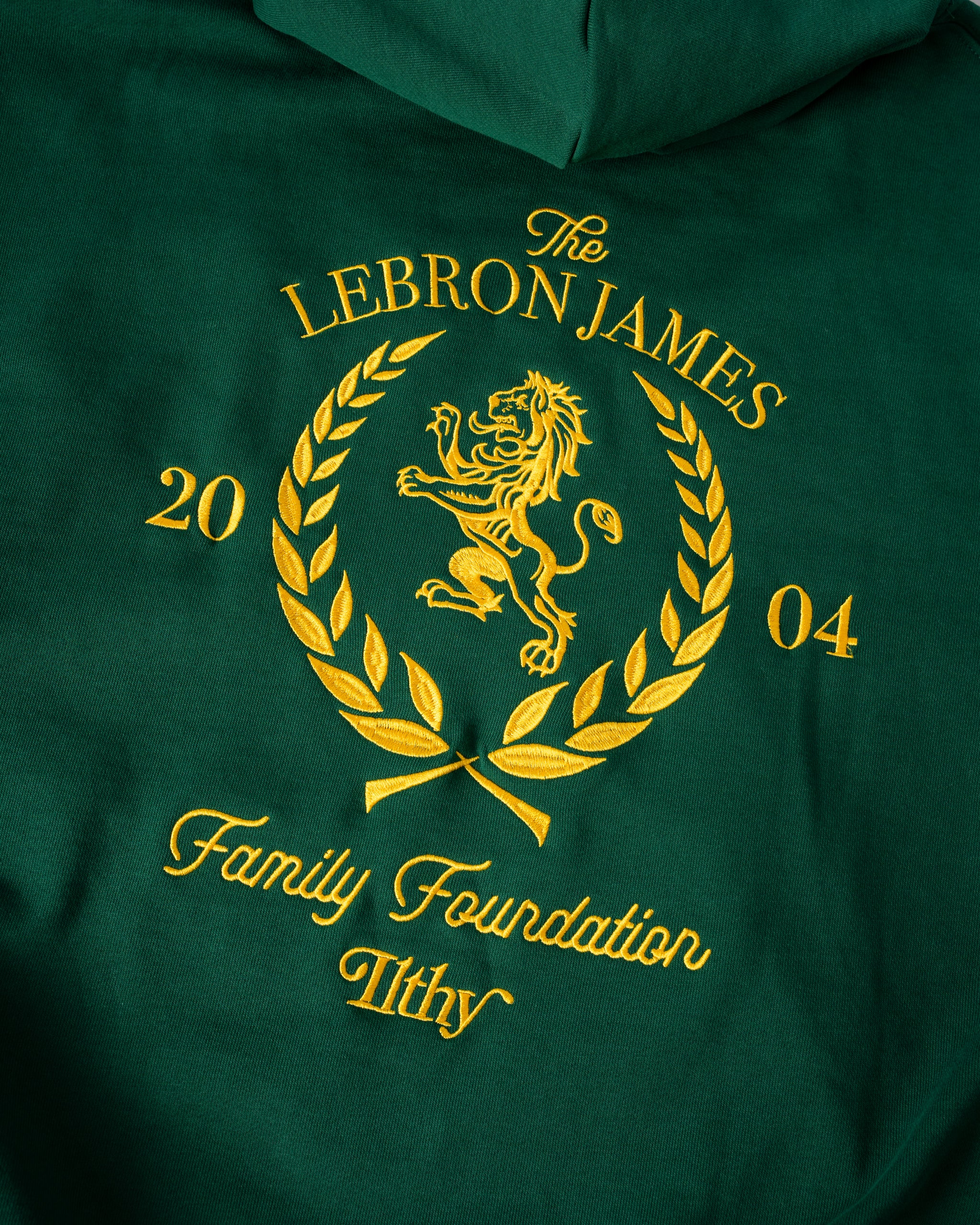 lebron we are family hoodie